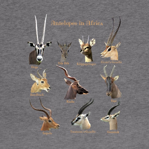 Antelopes in Africa by T-SHIRTS UND MEHR